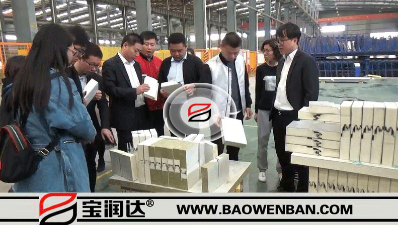 國立集團(tuán)董事長(zhǎng)一行來訪寶潤(rùn)達(dá)參觀交流